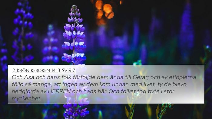 2 Krönikeboken 14:13 SV1917 Bible Verse Image