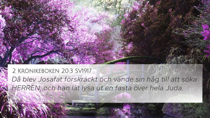 2 Krönikeboken 20:3 SV1917 Bible Verse Image