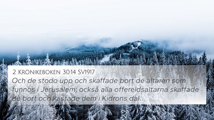 2 Krönikeboken 30:14 SV1917 Bible Verse Image