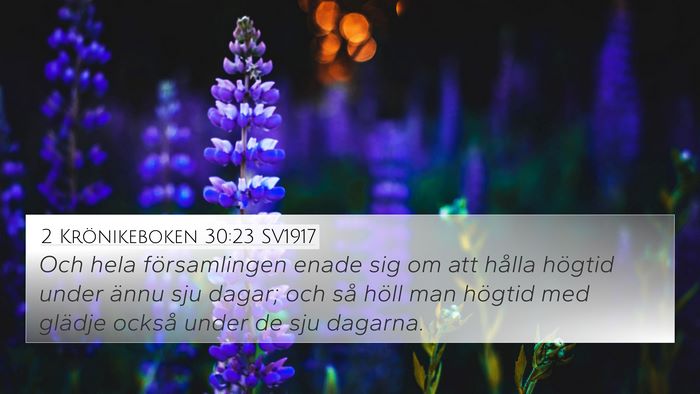 2 Krönikeboken 30:23 SV1917 Bible Verse Image