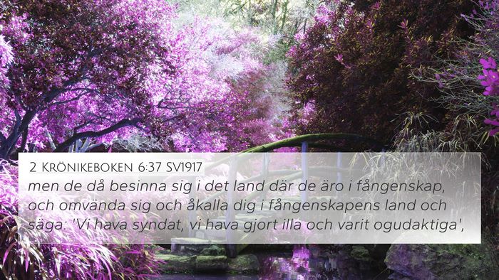 2 Krönikeboken 6:37 SV1917 Bible Verse Image