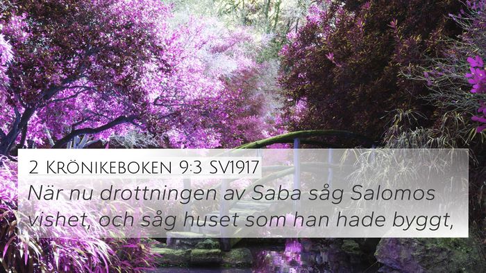 2 Krönikeboken 9:3 SV1917 Bible Verse Image