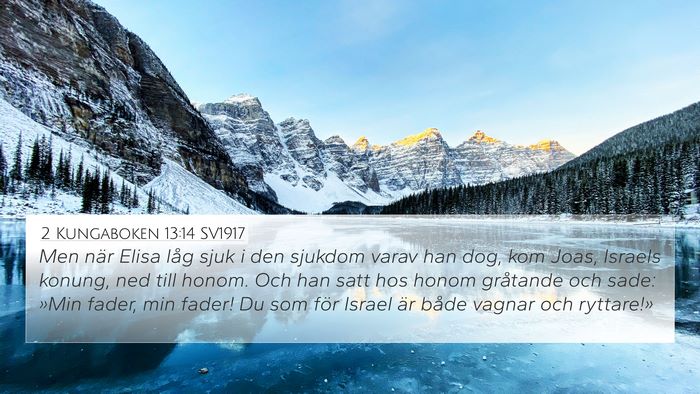 2 Kungaboken 13:14 SV1917 Bible Verse Image