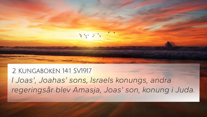 2 Kungaboken 14:1 SV1917 Bible Verse Image