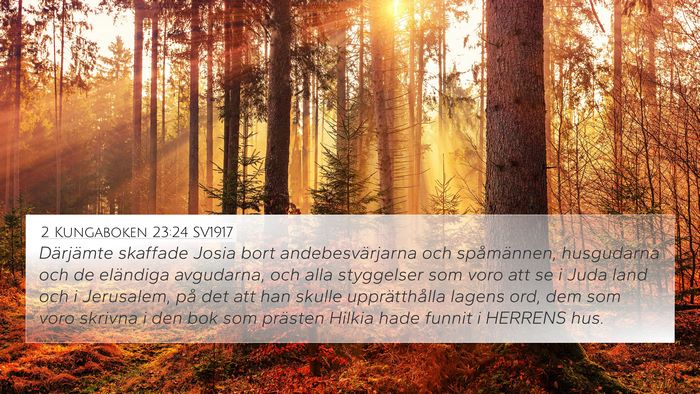 2 Kungaboken 23:24 SV1917 Bible Verse Image