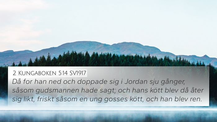 2 Kungaboken 5:14 SV1917 Bible Verse Image