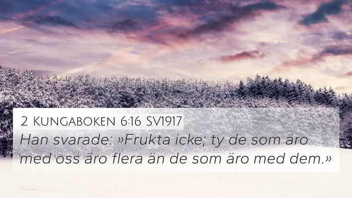 2 Kungaboken 6:16 SV1917 Bible Verse Image