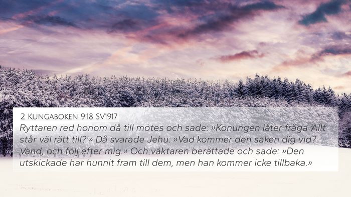 2 Kungaboken 9:18 SV1917 4K Wallpaper - Ryttaren red honom då till mötes och sade: - 4K Wallpaper Bible Verse