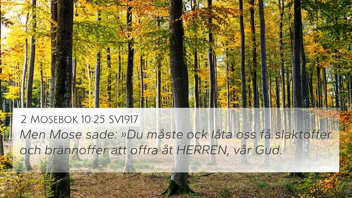2 Mosebok 10:25 SV1917 4K Wallpaper - Men Mose sade: »Du måste ock låta oss få - 4K Wallpaper Bible Verse