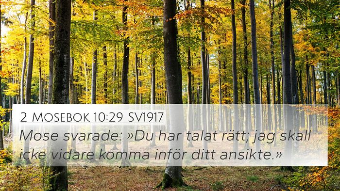 2 Mosebok 10:29 SV1917 4K Wallpaper - Mose svarade: »Du har talat rätt; jag skall - 4K Wallpaper Bible Verse