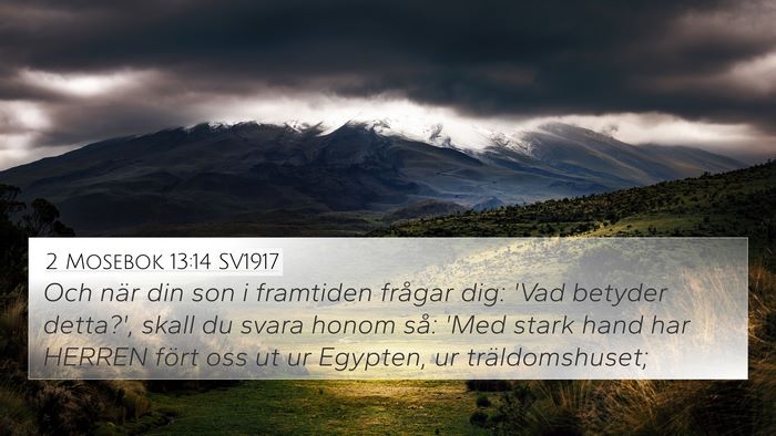 2 Mosebok 13:14 SV1917 Bible Verse Image
