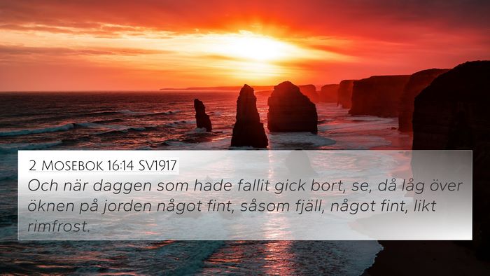 2 Mosebok 16:14 SV1917 Bible Verse Image