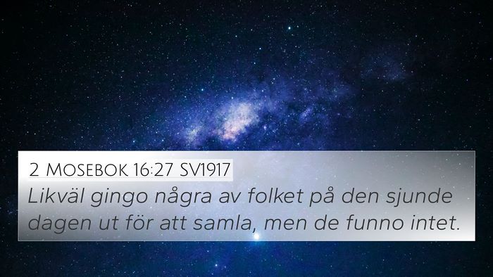 2 Mosebok 16:27 SV1917 Bible Verse Image