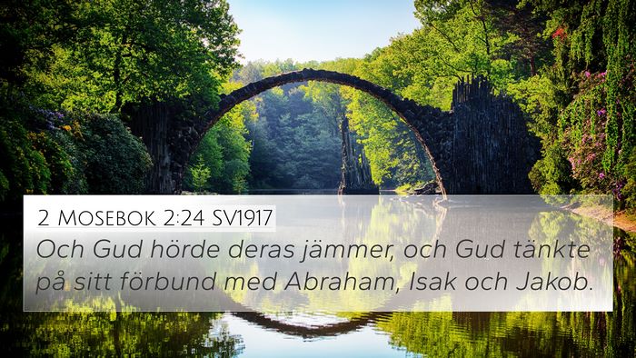 2 Mosebok 2:24 SV1917 Bible Verse Image