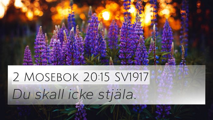 2 Mosebok 20:15 SV1917 Bible Verse Image