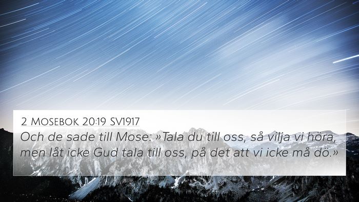 2 Mosebok 20:19 SV1917 Bible Verse Image