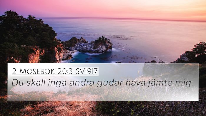 2 Mosebok 20:3 SV1917 Bible Verse Image