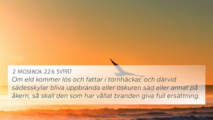 2 Mosebok 22:6 SV1917 Bible Verse Image