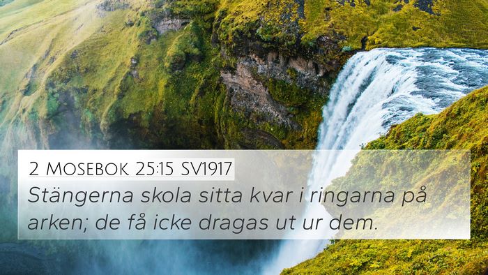 2 Mosebok 25:15 SV1917 Bible Verse Image