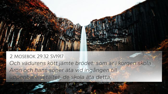 2 Mosebok 29:32 SV1917 Bible Verse Image