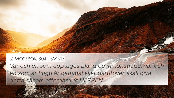 2 Mosebok 30:14 SV1917 4K Wallpaper - Var och en som upptages bland de inmönstrade, - 4K Wallpaper Bible Verse