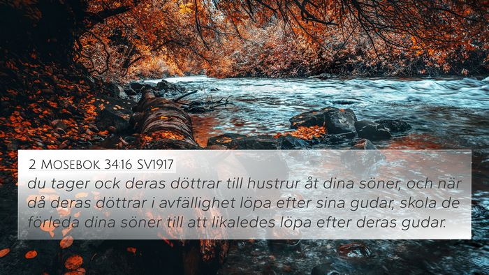 2 Mosebok 34:16 SV1917 Bible Verse Image