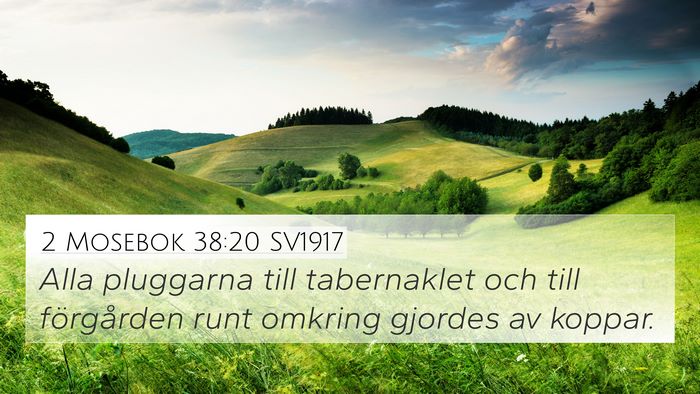 2 Mosebok 38:20 SV1917 Bible Verse Image