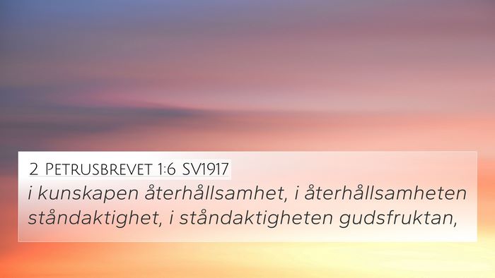 2 Petrusbrevet 1:6 SV1917 Bible Verse Image