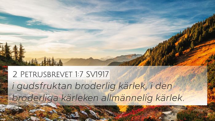 2 Petrusbrevet 1:7 SV1917 4K Wallpaper - i gudsfruktan broderlig kärlek, i den broderliga - 4K Wallpaper Bible Verse