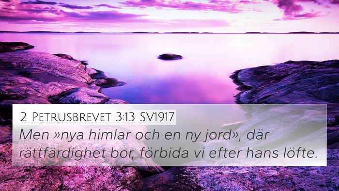 2 Petrusbrevet 3:13 SV1917 Bible Verse Image