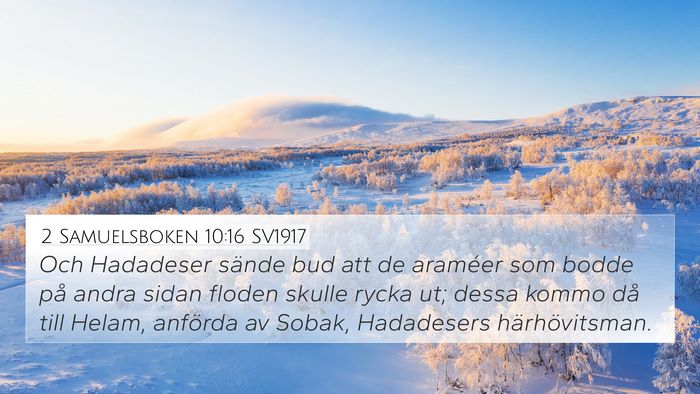 2 Samuelsboken 10:16 SV1917 Bible Verse Image