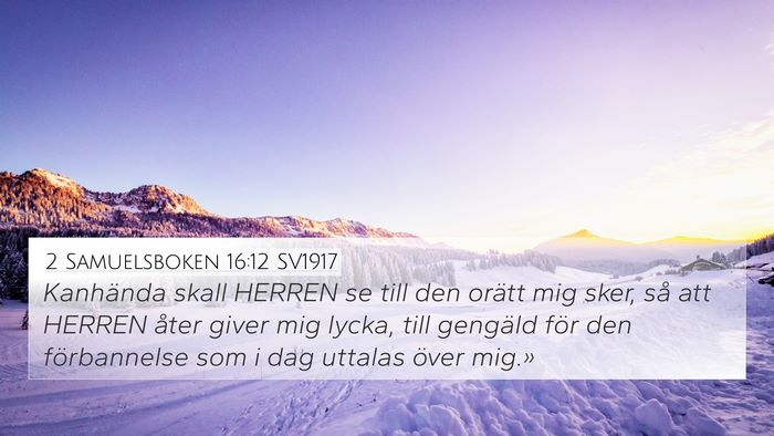 2 Samuelsboken 16:12 SV1917 Bible Verse Image