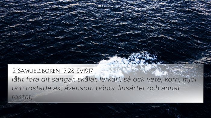 2 Samuelsboken 17:28 SV1917 Bible Verse Image