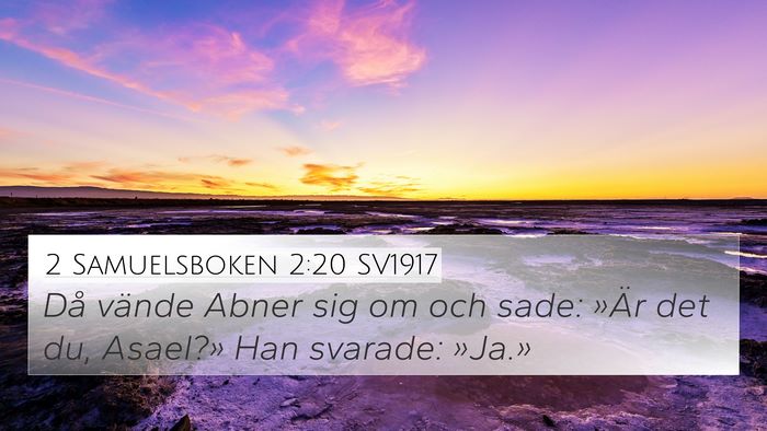 2 Samuelsboken 2:20 SV1917 4K Wallpaper - Då vände Abner sig om och sade: »Är det du, - 4K Wallpaper Bible Verse