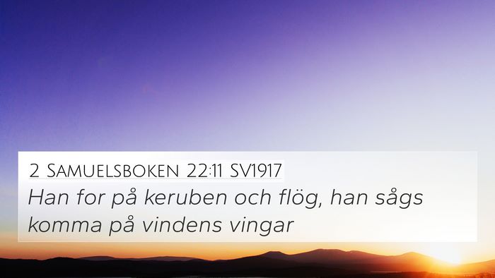 2 Samuelsboken 22:11 SV1917 Bible Verse Image