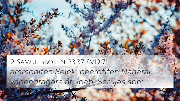 2 Samuelsboken 23:37 SV1917 Bible Verse Image