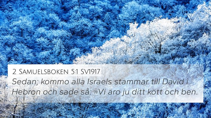 2 Samuelsboken 5:1 SV1917 Bible Verse Image