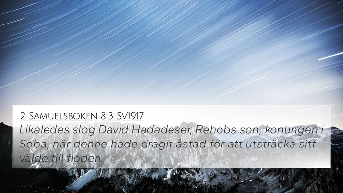 2 Samuelsboken 8:3 SV1917 Bible Verse Image