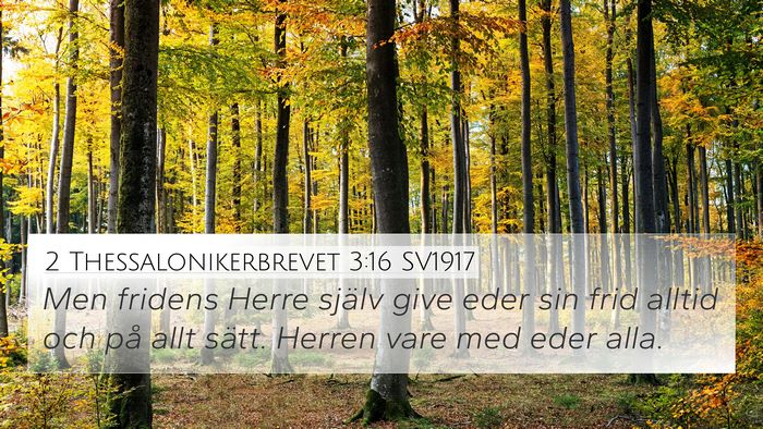 2 Thessalonikerbrevet 3:16 SV1917 Bible Verse Image