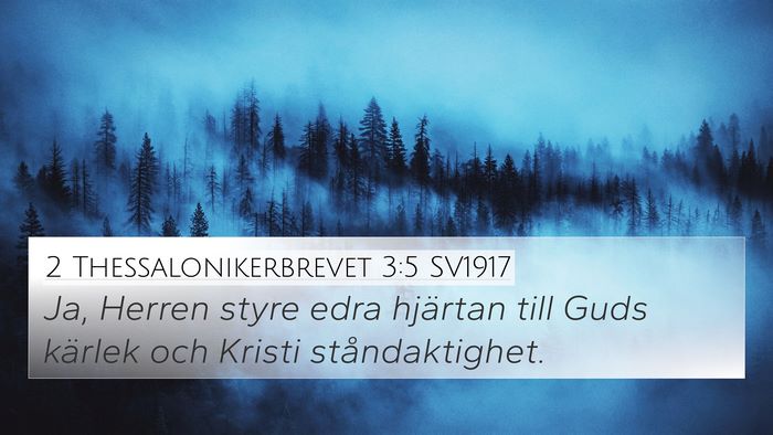 2 Thessalonikerbrevet 3:5 SV1917 Bible Verse Image