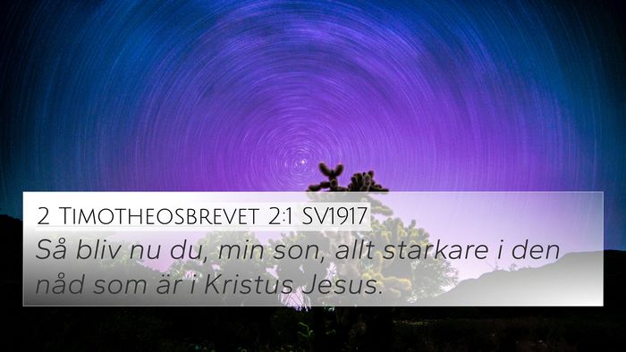 2 Timotheosbrevet 2:1 SV1917 Bible Verse Image
