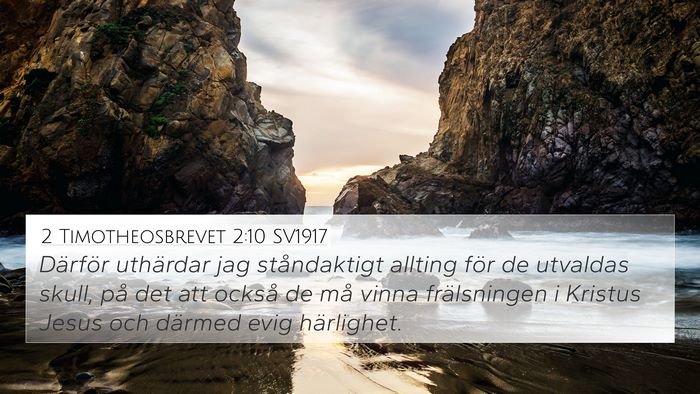 2 Timotheosbrevet 2:10 SV1917 Bible Verse Image