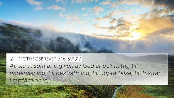 2 Timotheosbrevet 3:16 SV1917 Bible Verse Image