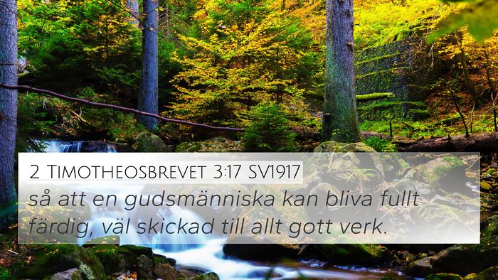 2 Timotheosbrevet 3:17 SV1917 Bible Verse Image