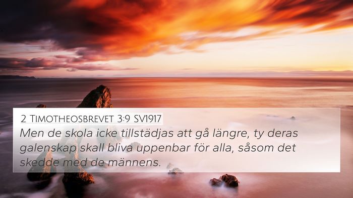 2 Timotheosbrevet 3:9 SV1917 4K Wallpaper - Men de skola icke tillstädjas att gå längre, - 4K Wallpaper Bible Verse