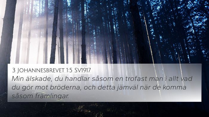 3 Johannesbrevet 1:5 SV1917 Bible Verse Image