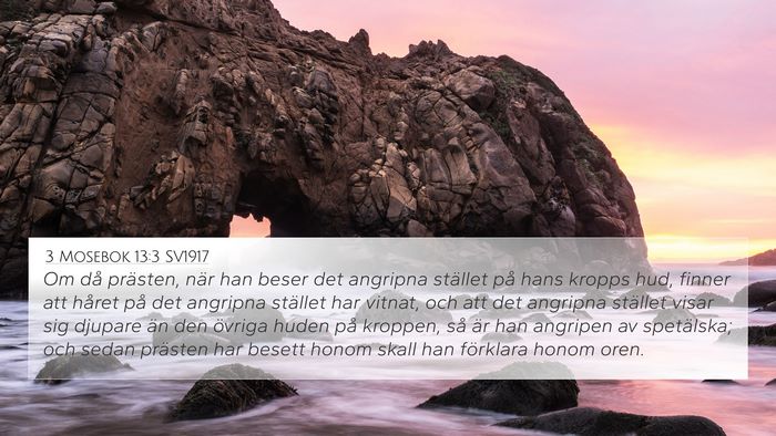 3 Mosebok 13:3 SV1917 4K Wallpaper - Om då prästen, när han beser det angripna - 4K Wallpaper Bible Verse