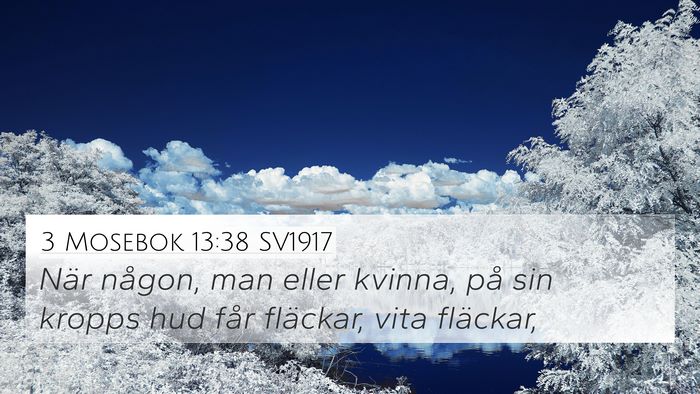 3 Mosebok 13:38 SV1917 4K Wallpaper - När någon, man eller kvinna, på sin kropps hud - 4K Wallpaper Bible Verse