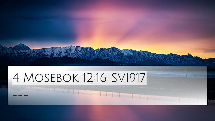 4 Mosebok 12:16 SV1917 4K Wallpaper -  - 4K Wallpaper Bible Verse