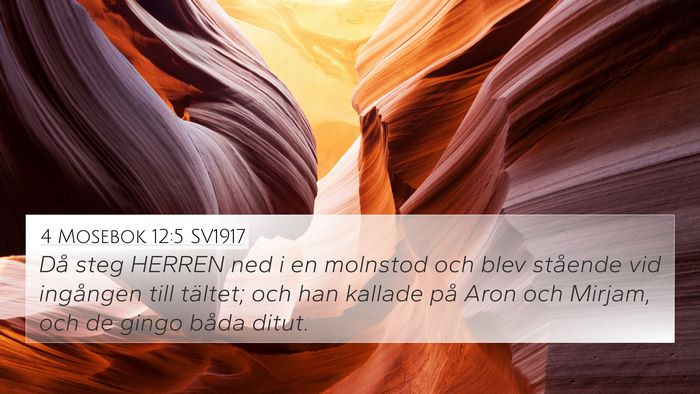 4 Mosebok 12:5 SV1917 Bible Verse Image